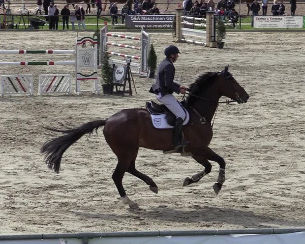 Reitturnier Hamm-Rhynern 2022