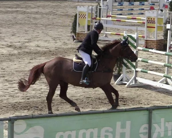 Reitturnier Hamm-Rhynern 2022