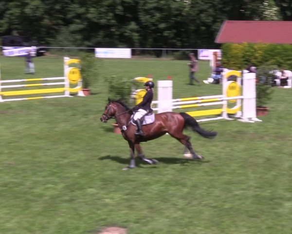 Reitturnier Königsborn 2022