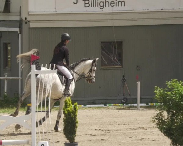 Reitturnier Billigheim 2022