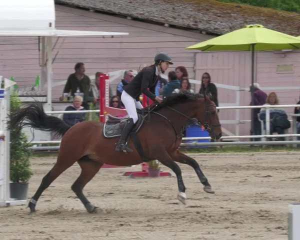 Reitturnier Billigheim 2022