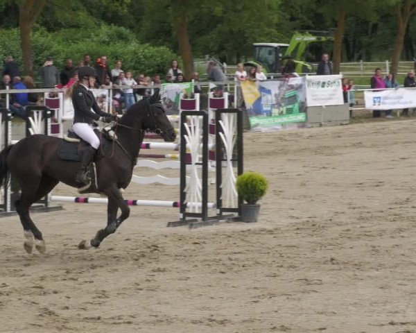 Reitturnier Billigheim 2022