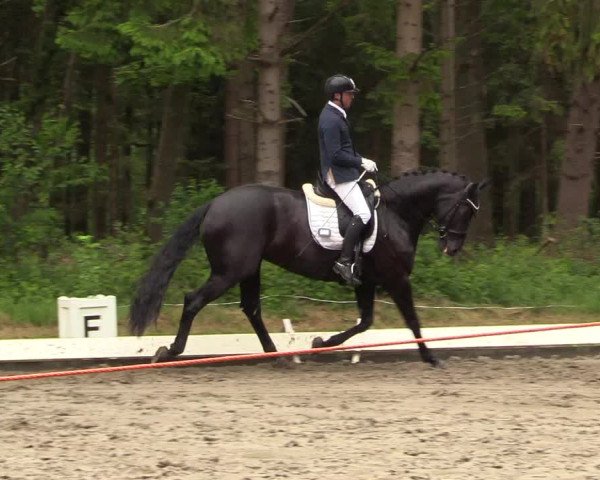 Reitturnier Kellinghusen 2022