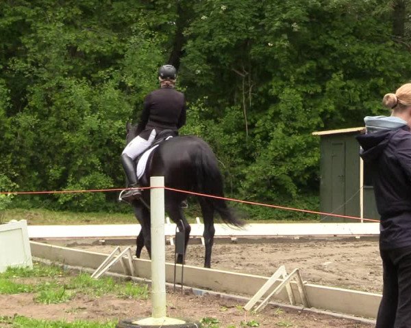 Reitturnier Kellinghusen 2022