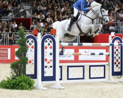 jumper Aragon Z (Saxony-Anhaltiner, 2001, from Askari)