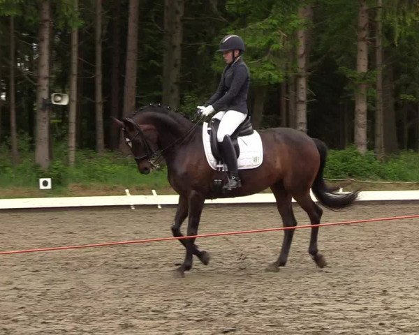 Reitturnier Kellinghusen 2022