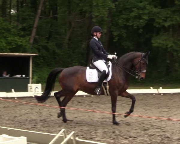 Reitturnier Kellinghusen 2022