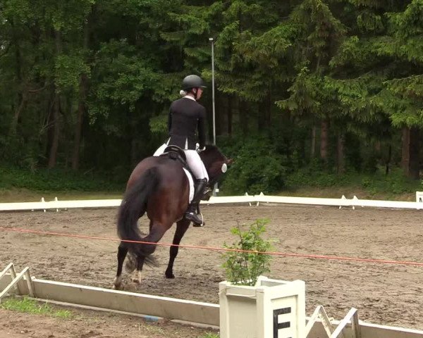 Reitturnier Kellinghusen 2022