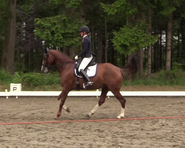 Reitturnier Kellinghusen 2022