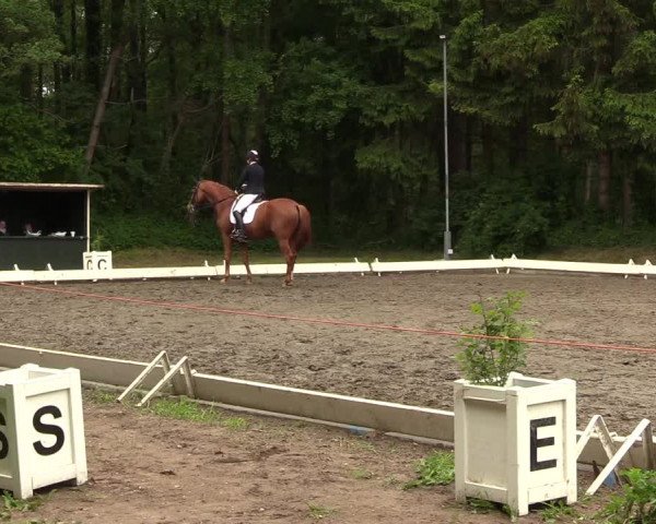Reitturnier Kellinghusen 2022