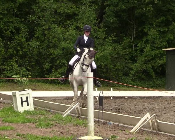 Reitturnier Kellinghusen 2022