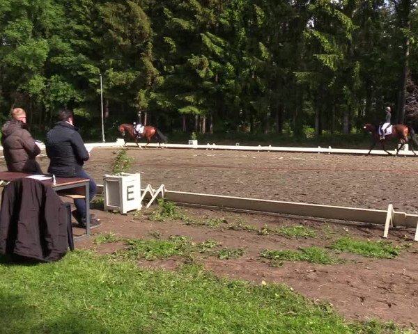 Reitturnier Kellinghusen 2022