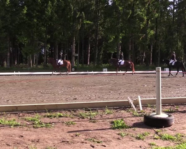 Reitturnier Kellinghusen 2022