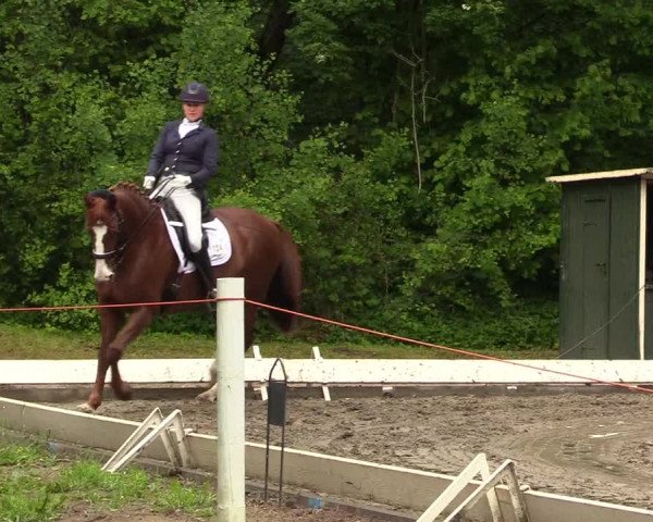 Reitturnier Kellinghusen 2022