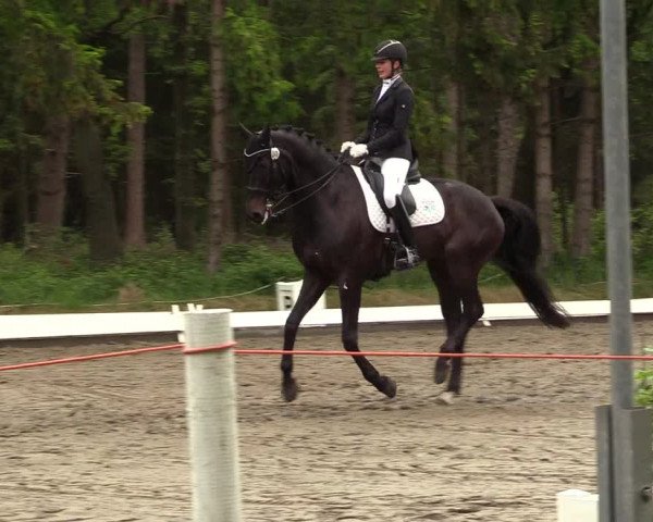 Reitturnier Kellinghusen 2022
