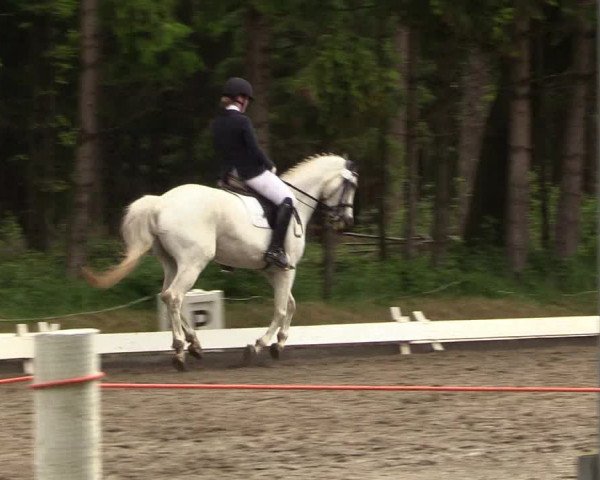 Reitturnier Kellinghusen 2022