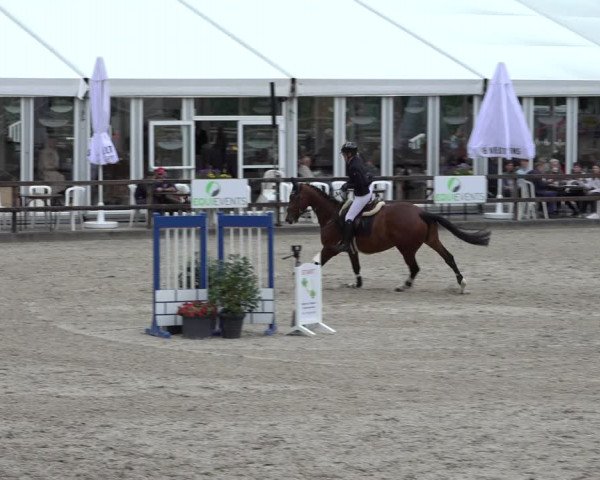 Reitturnier Klein Roscharden 2022