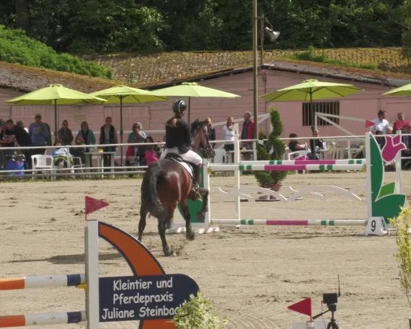 Reitturnier Billigheim 2022