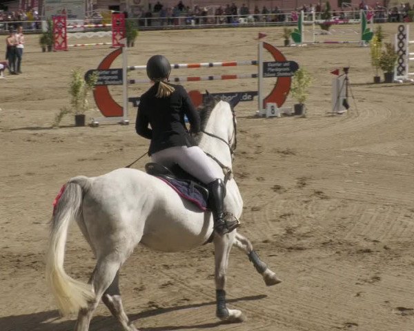 Reitturnier Billigheim 2022