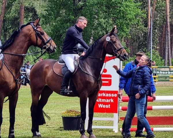 broodmare Lobelia 12 (German Sport Horse, 2014, from Levistano)