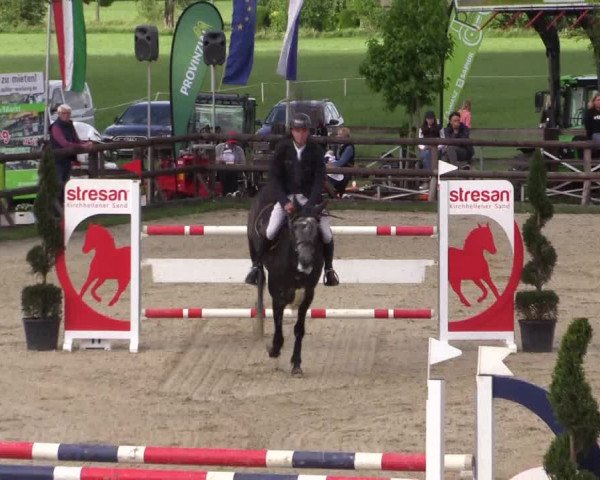 Reitturnier Kirchhellen/Stall Dieckmann 2022