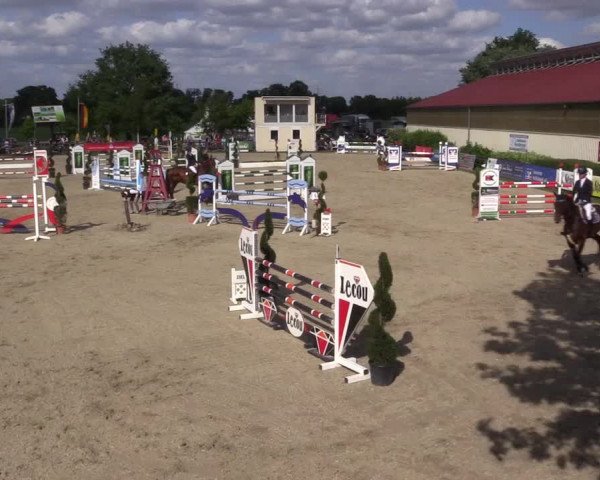 Reitturnier Kirchhellen/Stall Dieckmann 2022