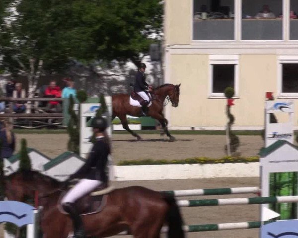 Reitturnier Kirchhellen/Stall Dieckmann 2022