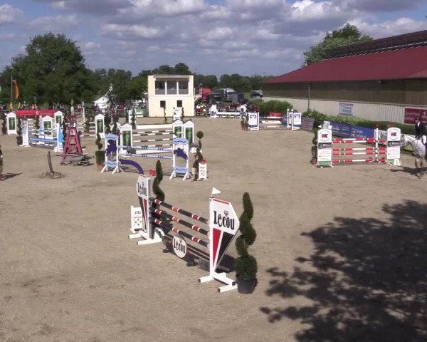 Reitturnier Kirchhellen/Stall Dieckmann 2022