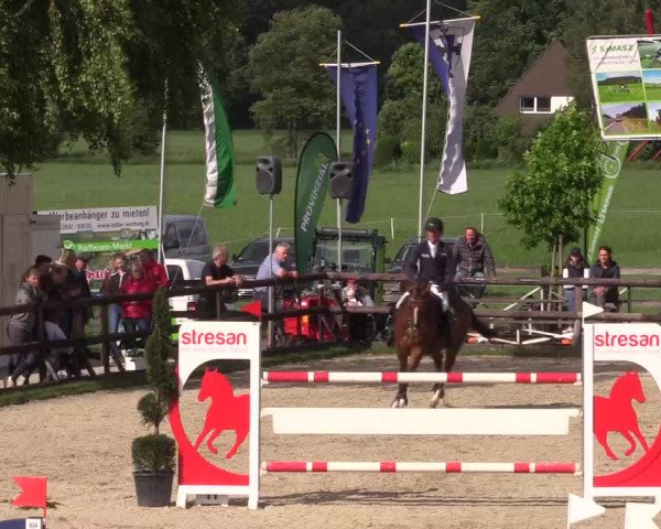Reitturnier Kirchhellen/Stall Dieckmann 2022