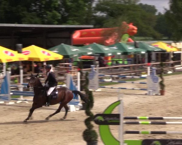 Reitturnier Kirchhellen/Stall Dieckmann 2022