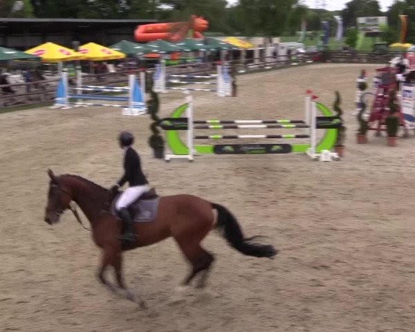 Reitturnier Kirchhellen/Stall Dieckmann 2022