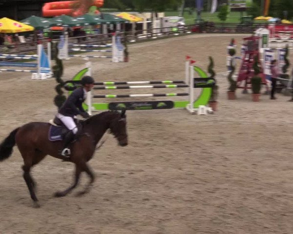 Reitturnier Kirchhellen/Stall Dieckmann 2022