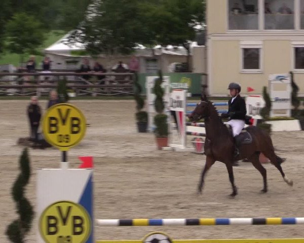 Reitturnier Kirchhellen/Stall Dieckmann 2022