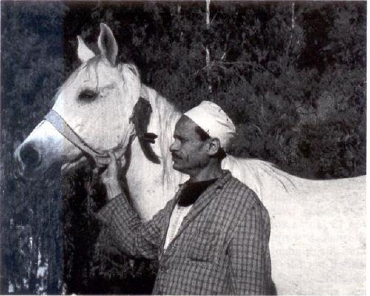 broodmare Inas 1961 EAO (Arabian purebred, 1961, from Morafic 1956 EAO)