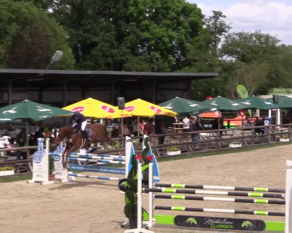 Reitturnier Kirchhellen/Stall Dieckmann 2022