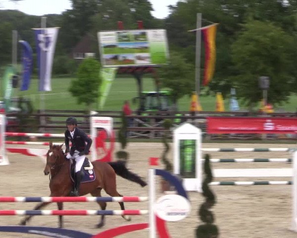 Reitturnier Kirchhellen/Stall Dieckmann 2022