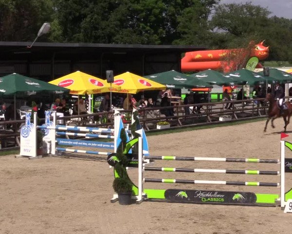 Reitturnier Kirchhellen/Stall Dieckmann 2022