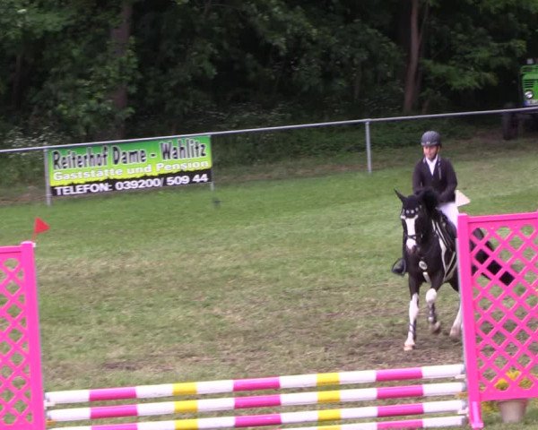Reitturnier Königsborn 2022