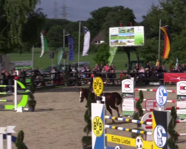 Reitturnier Kirchhellen/Stall Dieckmann 2022