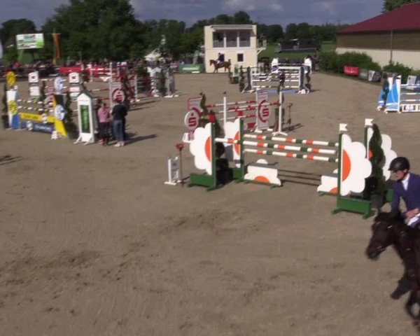 Reitturnier Kirchhellen/Stall Dieckmann 2022