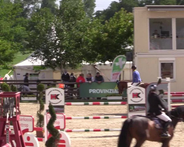 Reitturnier Kirchhellen/Stall Dieckmann 2022