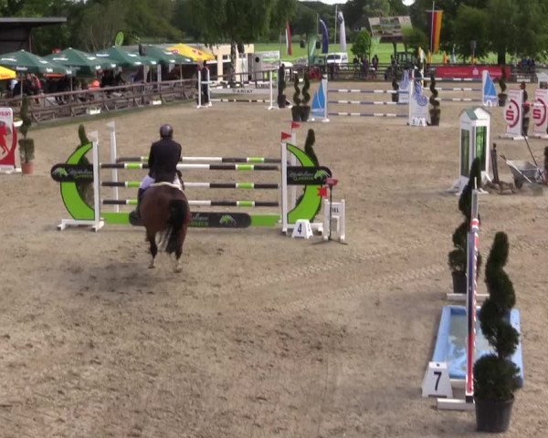 Reitturnier Kirchhellen/Stall Dieckmann 2022