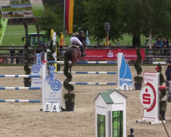 Reitturnier Kirchhellen/Stall Dieckmann 2022