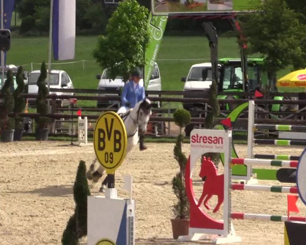 Reitturnier Kirchhellen/Stall Dieckmann 2022