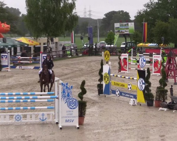 Reitturnier Kirchhellen/Stall Dieckmann 2022