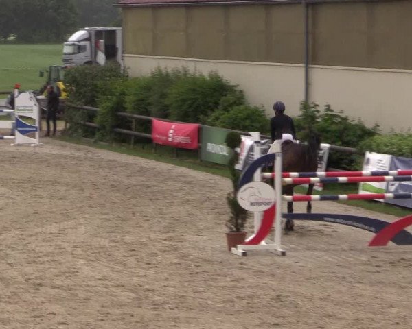 Reitturnier Kirchhellen/Stall Dieckmann 2022