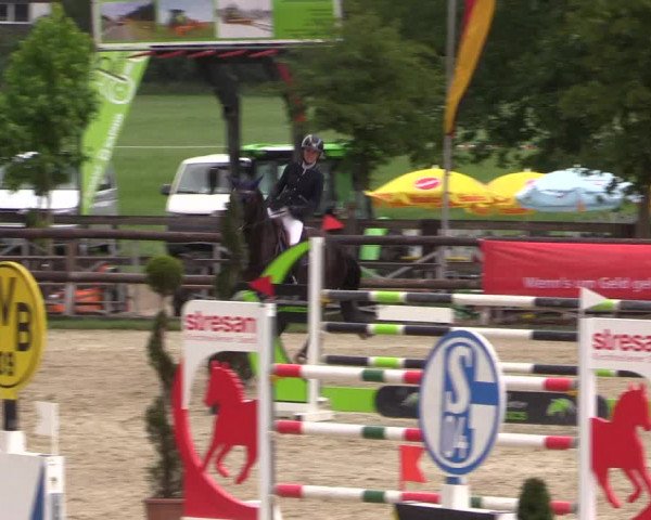 Reitturnier Kirchhellen/Stall Dieckmann 2022