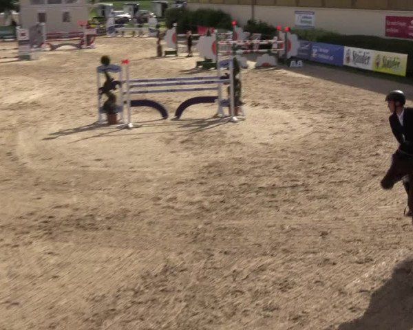 Reitturnier Kirchhellen/Stall Dieckmann 2022
