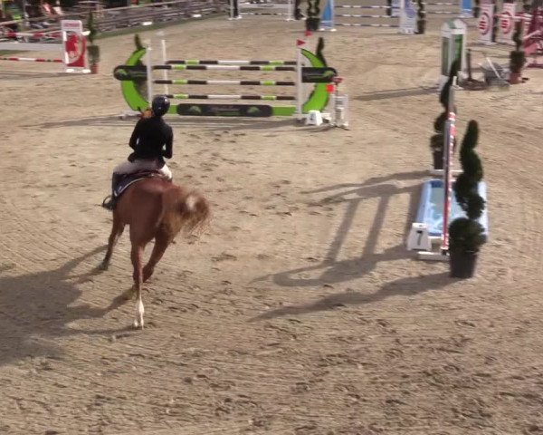 Reitturnier Kirchhellen/Stall Dieckmann 2022