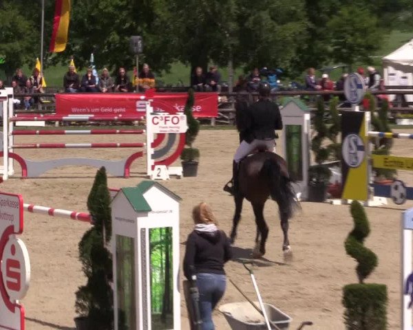 Reitturnier Kirchhellen/Stall Dieckmann 2022